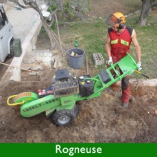 rogneuse ok.jpg